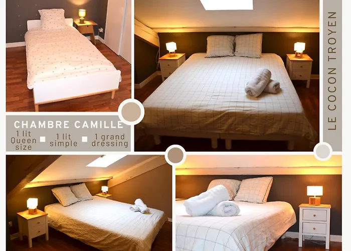 Le Cocon Troyen - 3 Avec 2 Parkings, Ideal Familles Et Pros * トロワ